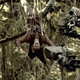 Image for article titled Screen Shots Predator